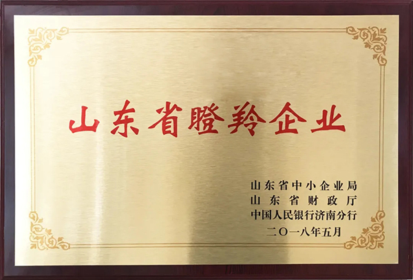 “瞪羚企業(yè)”奮力開新局 山東開泰再獲認(rèn)可