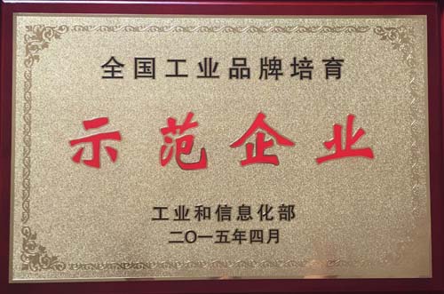 山東開泰榮膺國家工業(yè)品牌培育示范企業(yè)