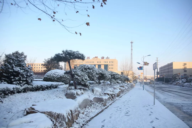 開泰雪景