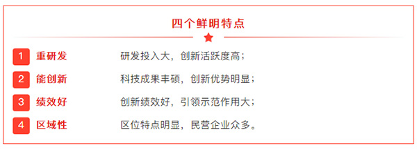 山東開(kāi)泰成功入選2021年度山東省科技領(lǐng)軍企業(yè)