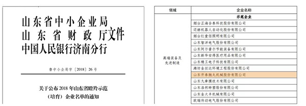 山東開泰入選2018年山東省首批瞪羚示范企業(yè)