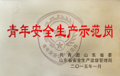 山東開(kāi)泰集團(tuán)榮獲山東省青年安全生產(chǎn)示范崗