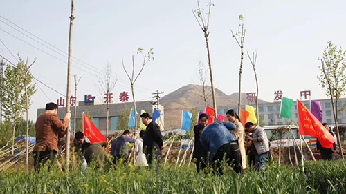 開泰人在植樹